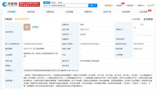 應用軟件服務 數字化轉型時代的企業引擎